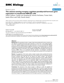 The calcium-sensing receptor regulates parathyroid hormone gene