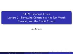 Borrowing Constraints and the Net Worth Channel: Lecture 2