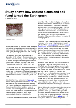 Study shows how ancient plants and soil fungi turned the