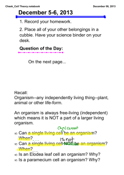 Cheek_Cell Theory.notebook