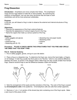 Frog dissection - Kenston Local Schools