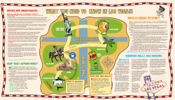 BRAIN`s guide to What You Need to Know in Las Vegas