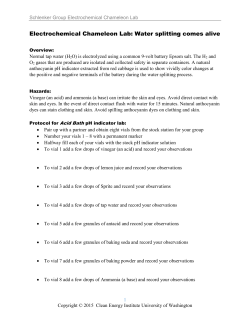 Electrochemical Chameleon Lab: Water splitting comes alive