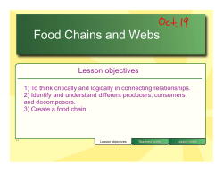 Food Chains and Webs - Ms. MacInnes` Classroom