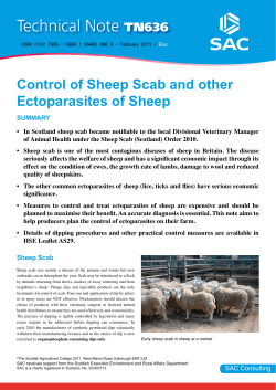 Control of Sheep Scab and other Ectoparasites of Sheep
