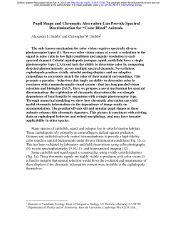 Pupil Shape and Chromatic Aberration Can Provide