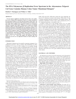 The DNA Polymerase Replication Error