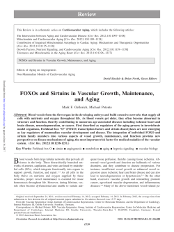 FOXOs and Sirtuins in Vascular Growth, Maintenance, and Aging