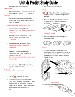 1. Which protist moves using cilia? paramecium 2. Both the euglena