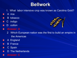 Bellwork