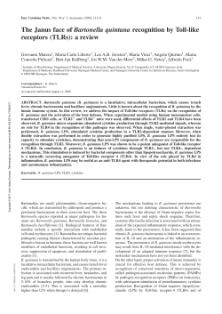 The Janus face of Bartonella quintana recognition by Toll