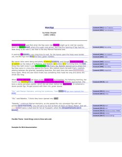 Possible Theme: Good things come to those who