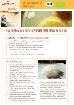 Making Water Kefir: Instructions with many tips - Wellness