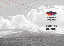 Scoping report - Ruapehu Whanau Transformation