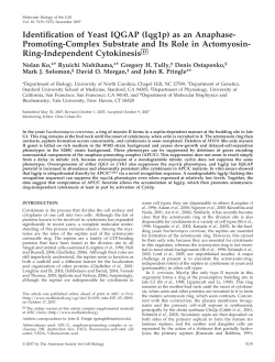 Identification of Yeast IQGAP (Iqg1p) as an Anaphase