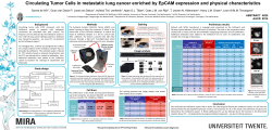 Circulating Tumor Cells in metastatic lung cancer enriched by