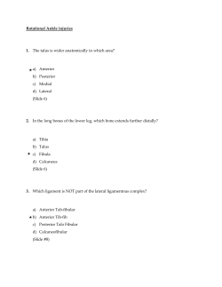 Rotational Ankle injuries 1. The talus is wider anatomically in which