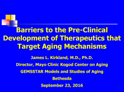 Expression of C/EBP   protein is increased 4hrs after addition of