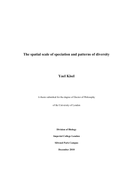 The spatial scale of speciation and patterns of diversity