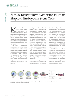SIBCB Researchers Generate Human Haploid Embryonic Stem Cells