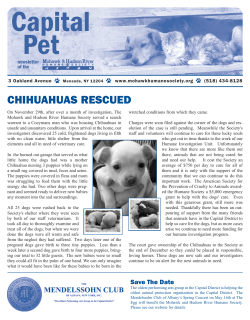 February 2008 - Mohawk Hudson Humane Society