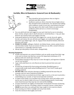 Gerbils: General Care and Husbandry