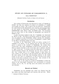 STUDY ON CYCLOSIS OF PARAMECIUM (1)