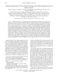 Composite Organization of the Cobalamin Binding and Cubilin
