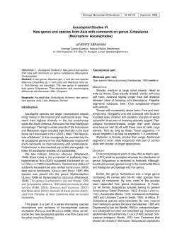 Ascalaphid Studies VI. New genus and species from Asia with
