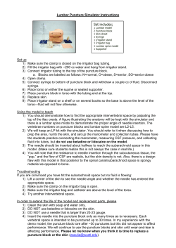 KK Lumbar Puncture Training Model