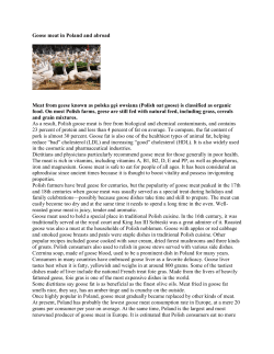 PPE_PL_Goose meat in Poland and abroad