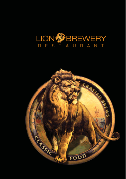 Lion Brewery Food Menu