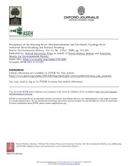 Perceptions of the Burning River: Deindustrialization and