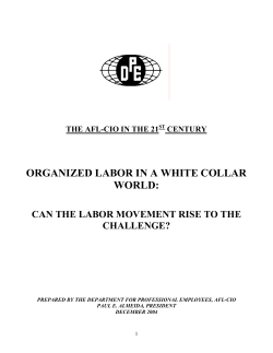 The Future of the AFL-CIO: DPE`s Response