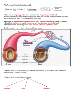 The Transport Vessels (Blood Vessels) Most arteries carry