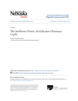 The Sunflower Forest