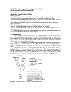 Lecture Notes (PDF format)