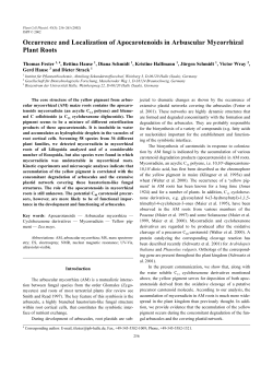 Occurrence and Localization of Apocarotenoids in Arbuscular