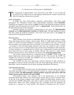 8-3.Rxns of Photosynthesis.Wkst