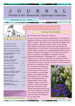 The Journal de l`Association #23
