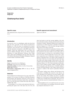 Eotetranychus lewisi - Wiley Online Library