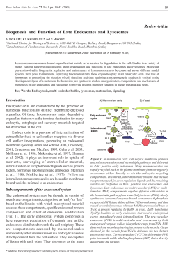 Biogenesis and Function of Late Endosomes and Lysosomes