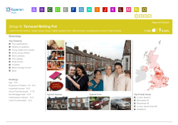 Terraced Melting Pot - Experian Marketing Services