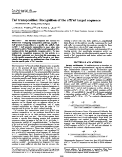 Tn7 transposition: Recognition of the attTn7 target sequence