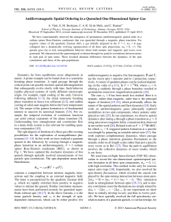 Antiferromagnetic Spatial Ordering in a Quenched One