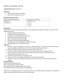 Activity: Conception Line Up