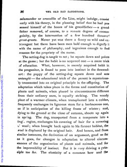 erv TII OLD RED SANDSTONE. salamander or crocodile of the Lias