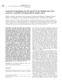 Expression of homologues for p53 and p73 in the softshell clam