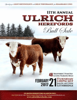 Click here down a PDF of our sale