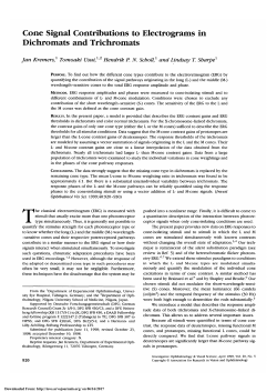 Cone signal contributions to electroretinograms [correction of
